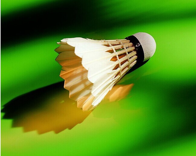 羽毛球場地膠工程解決方案 羽毛球場地膠工程解決方案